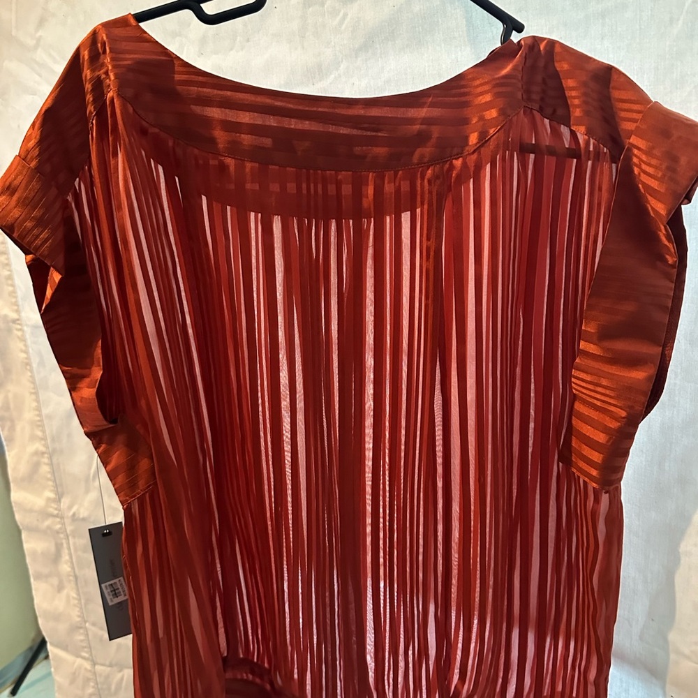 Classique Entier size xl silk sheer blouse. - Picture 5 of 7